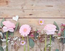 Geburtstag Blumen