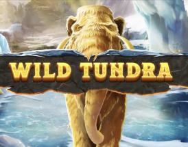 Wild tundra