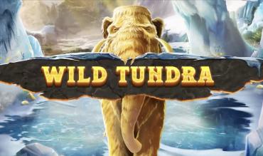 Wild tundra