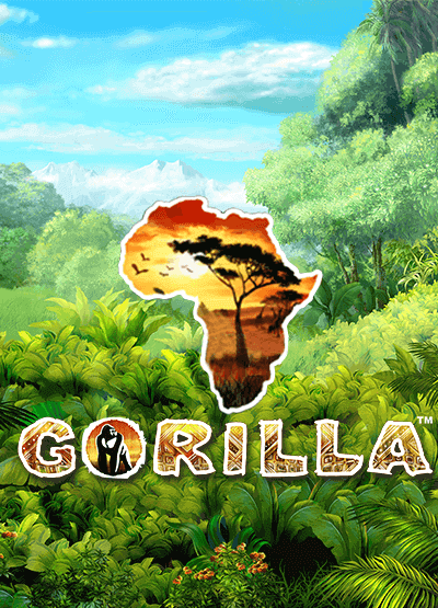 gorilla