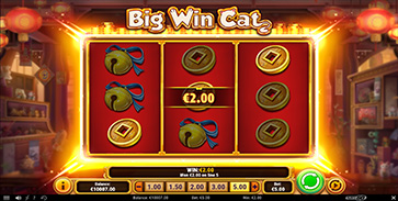 Big Win Cat - 363x183-1720694950972_tcm2087-624993