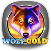 wolf-gold